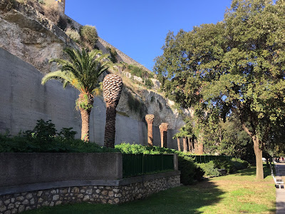 Treated and dead palms (note stumps) in the Gardini Publici in front of the Galleria Comunale d'Arte Moderna.