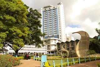 Bachelor of science in Electrical and Electronic Engineering - The University of Nairobi