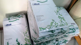 paper bag batam