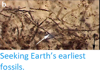 https://sciencythoughts.blogspot.com/2015/04/seeking-earths-earliest-fossils.html