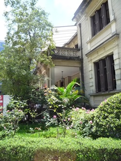 Cãonhecendo 2 (356)