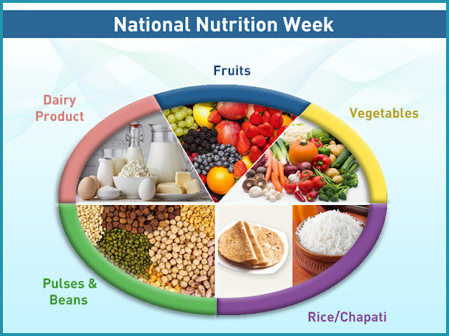 Which nutrients are necessary for our body for a balanced diet and why?