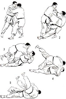 techniques judo