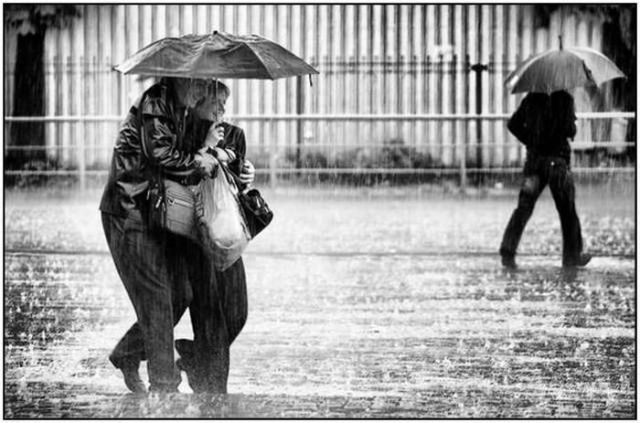 The Rain - Amazing Cool Pictures | Funny Photos | Free Quotes Photography