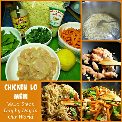 http://daybydayinourworld.com/2015/05/chicken-lo-mein/