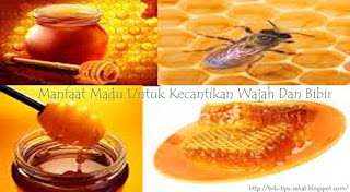 Manfaat Madu Untuk Kecantikan