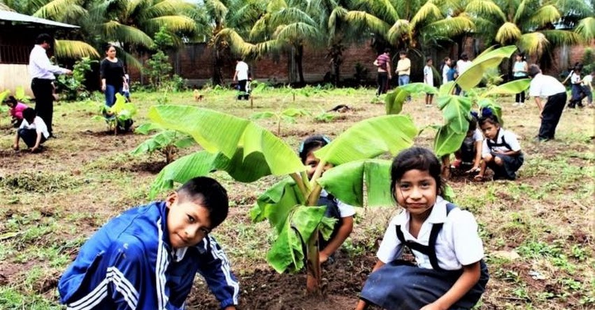 Colegio del Vraem gana concurso nacional en conservación del medio ambiente