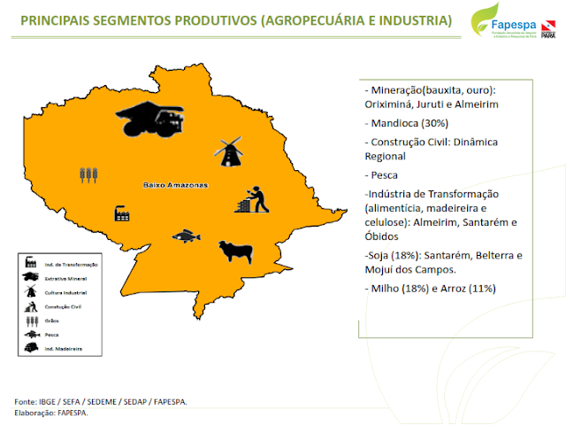 DIAGNÓSTICO SOCIOECONÔMICO E AMBIENTAL DA REGIÃO DE INTEGRAÇÃO DO BAIXO AMAZONAS – 2016 – 2019 – PARÁ – BRASIL.