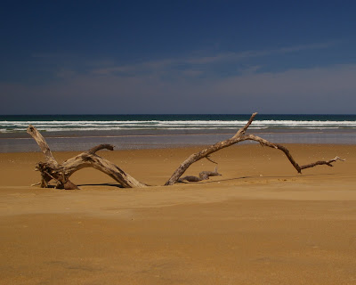 relaxing on the beach