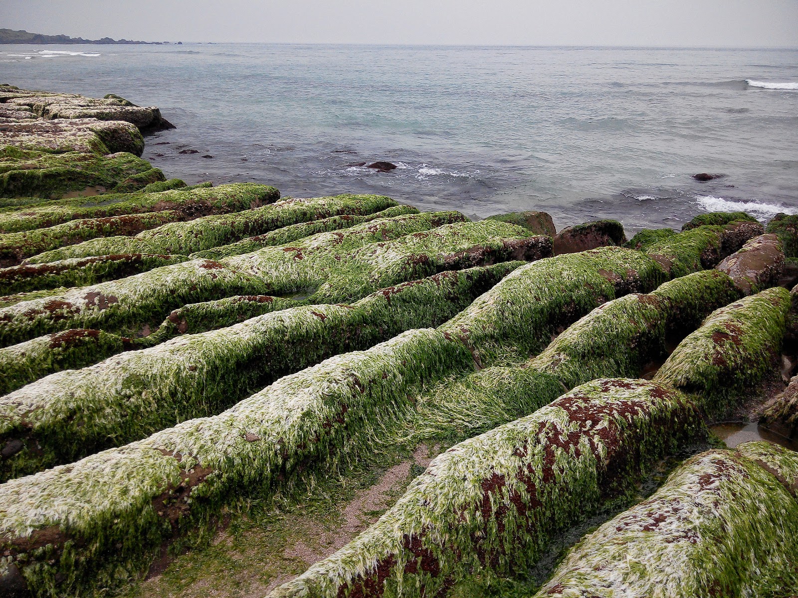 老梅綠石槽 稍縱即逝的海岸景觀 在你走過之後