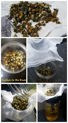 make dandelion oil from flowers