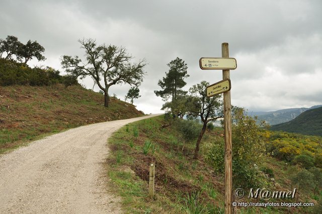 Sendero La Teja