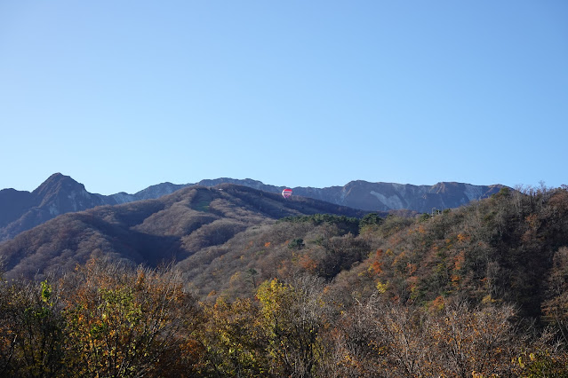鳥取県西伯郡大山町 大山環状道路 気球発見