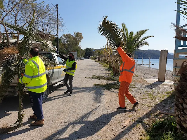 Εργασίες καθαριότητας σε Βιβάρι και Πλάκα Δρεπάνου