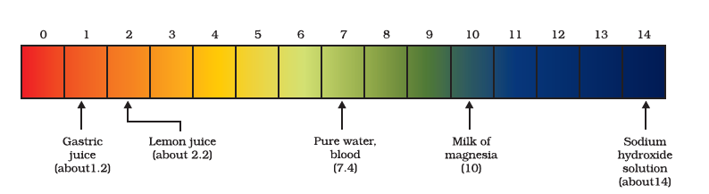 pH of some common substances shown on a pH paper