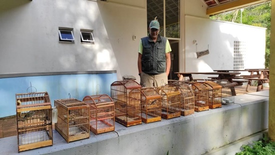 Inea liberta aves capturadas pelo tráfico de animais silvestres