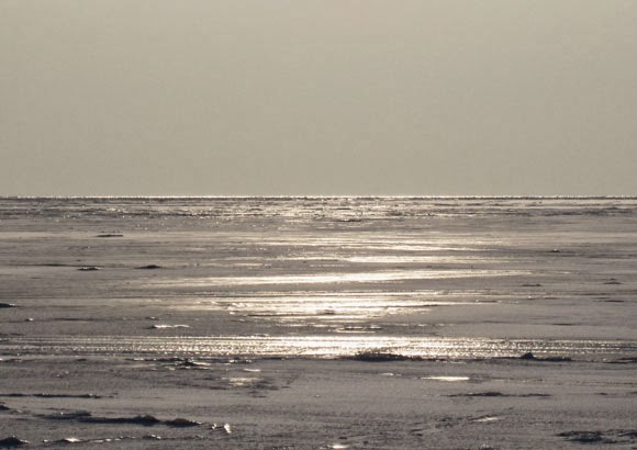 Frozen sea