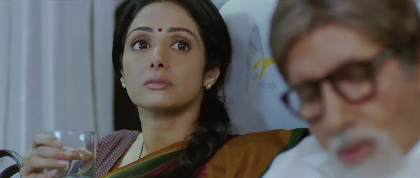 Screen Shot Of Hindi Movie English Vinglish (2012) Download And Watch Online Free at worldfree4u.com