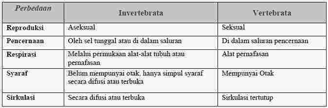 Kingdom Animalia Bagian 1 Your Chemistry A 