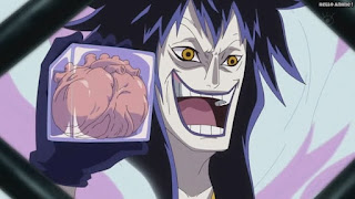 ワンピースアニメ パンクハザード編 601話 | ONE PIECE Episode 601