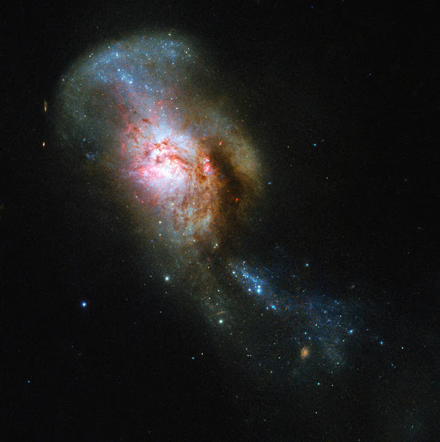 ngc-4194-galaksi-yang-dijuluki-the-medusa-merger-informasi-astronomi