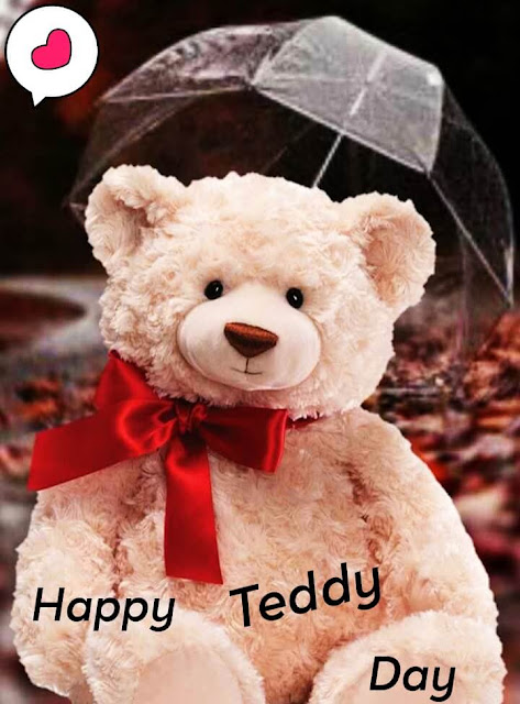 Teddy Day Images