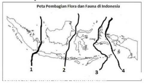 Soal Pilihan Ganda IPS Kelas 7 SMP/MTs Bab 1 Anugerah Kondisi Alam Indonesia lengkap dengan kunci jawaban dan pembahasannya