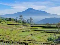 Menelusuri Jejak Sejarah dan Mitos Gunung Tampomas
