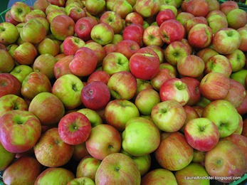 Wenatchee Apple Bin