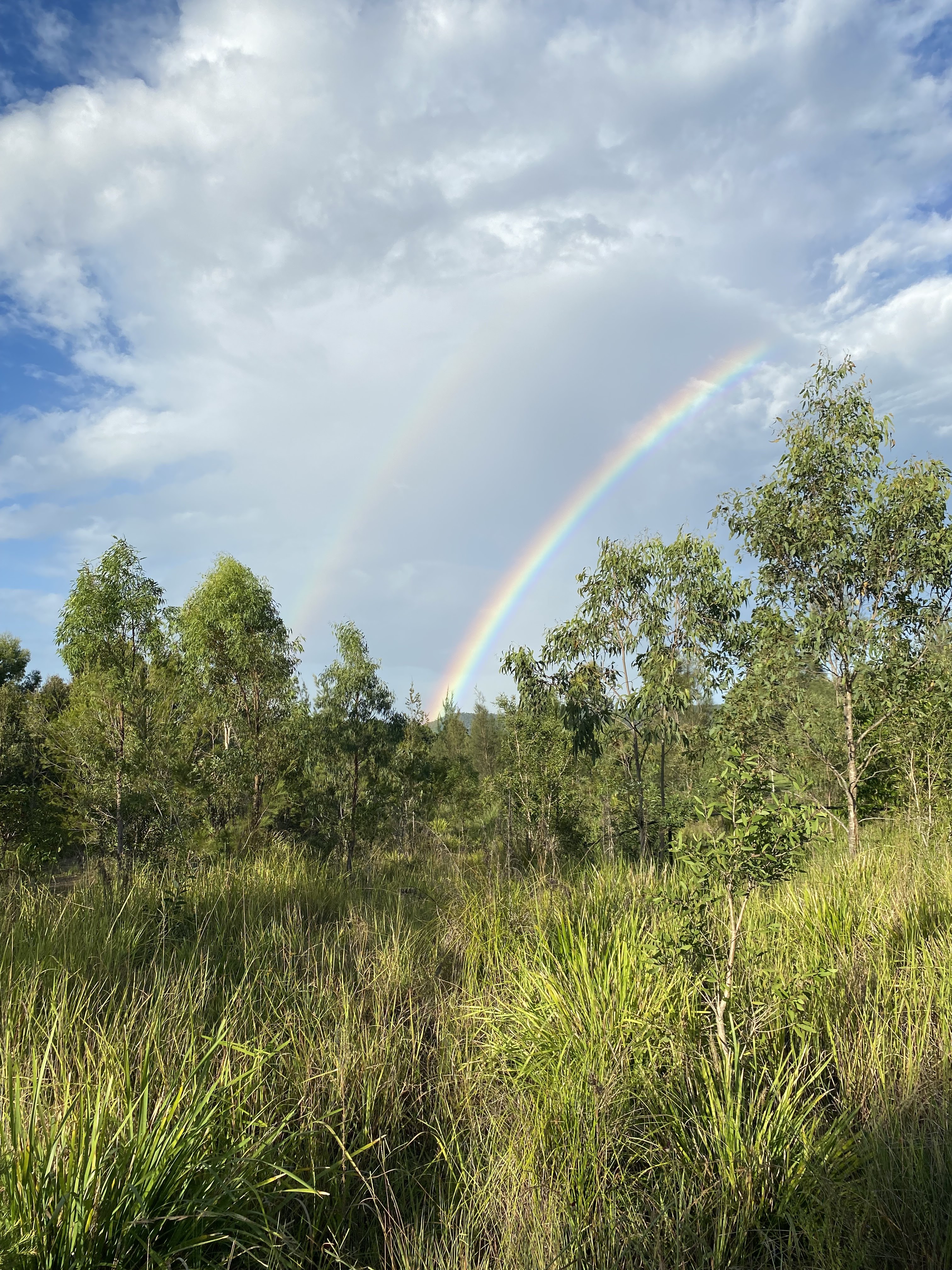 An photo Naomi has taken on their walk of bushland, cloudy skies and a double rainbow.