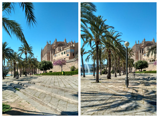okolcie katedry Palma de Mallorca, park z palm