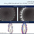 العلاج المغناطيسي