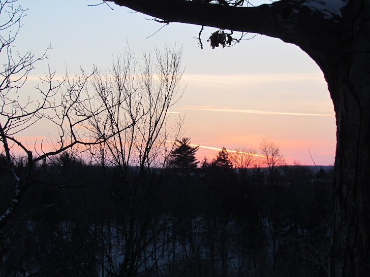View from the Ridge