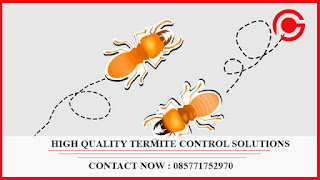 Hubungi : 085771752970 Jasa Pembasmi Kecoa di Bekasi G - Pest Control