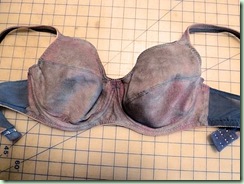FirstBra_fix