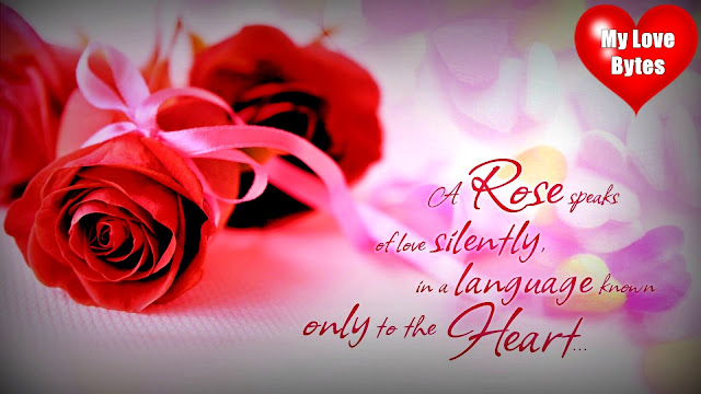 love hd wallpaper full size, romantic roses hd images, lovers background images with quotes