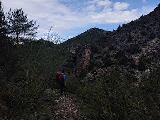 Barranco del arroyo de Fuentelengua