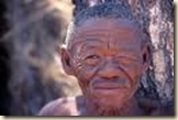 old bushman