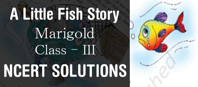 A Little Fish Story Class 3 NCERT Solutions