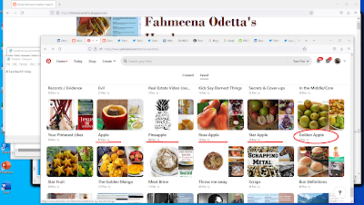 Screenshot of section of Fahmeena Odetta Moore's Pinterest profile