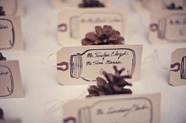 I love the pine cones too for a rustic winter wedding 