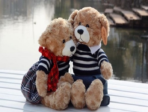 Cute Teddy Bear Couple Images