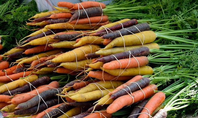 vegetable green carrot orange leaf