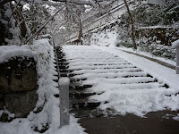 この石段を上がれば山門がみえる！