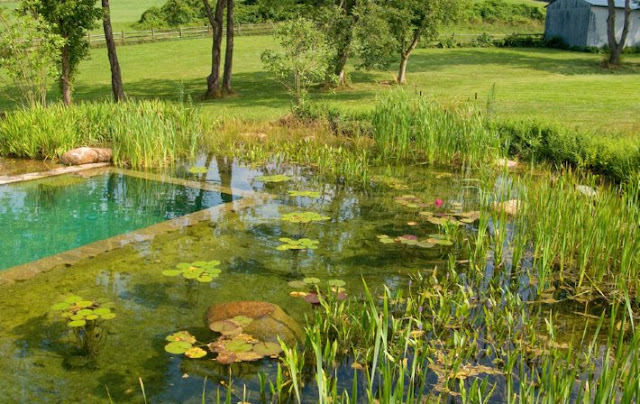 piscina natural