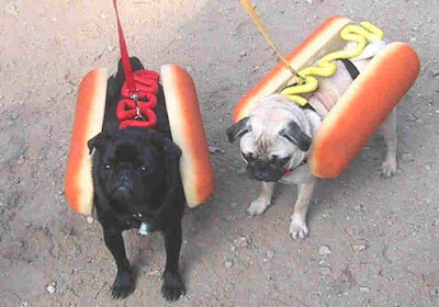 chien hotdog