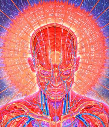 alex grey wallpaper. images alex grey wallpaper.