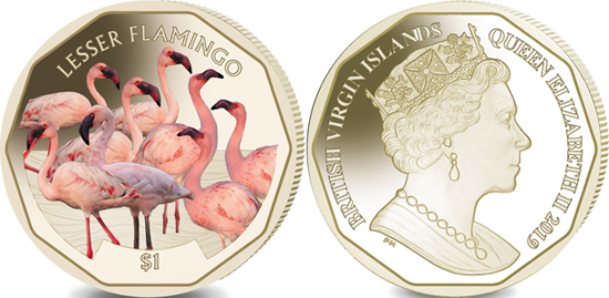 British Virgin Islands dollar 2019 - Lesser Flamingo