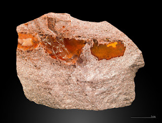 Fire Opal, image of Didier Descouens, Jalisco, Mexico by commons.wikimedia.org