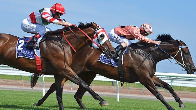 Black Caviar: sue anche le Lightning Stakes, vittoria numero 19